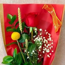 Rosa Unitaria Especial San Jordi