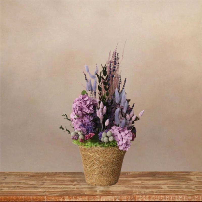 Lavanda y Sueños