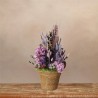 Lavanda y Sueños