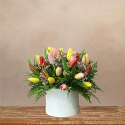 Sombrerera Tulipanes