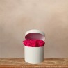 Sombrerera Eterna Fucsia