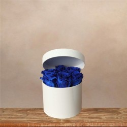 Sombrerera Eterna Azul Eléctrico
