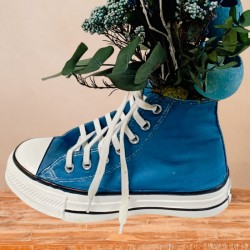 Blue Sneaker Converse Preservada