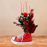 Red Sneaker Converse Preservada