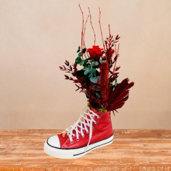 Red Sneaker Converse Preservada