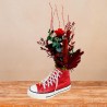 Red Sneaker Converse Preservada