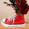 Red Sneaker Converse Preservada
