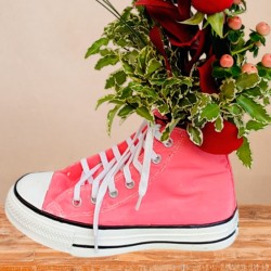 Pink Sneaker Converse Preservada