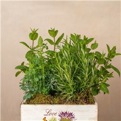Caja Aromas de la Huerta