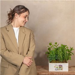 Caja Aromas de la Huerta