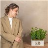 Caja Aromas de la Huerta