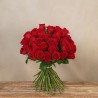 Ramo de 50 Rosas