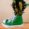 Green Sneaker Converse Preservada