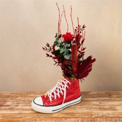Red Sneaker Converse Preservada