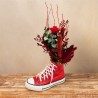 Red Sneaker Converse Preservada