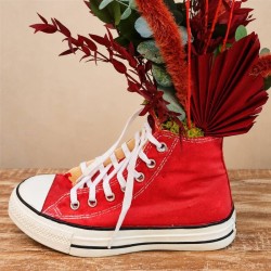 Red Sneaker Converse Preservada
