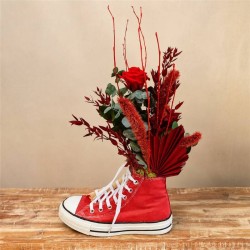 Red Sneaker Converse Preservada