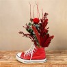 Red Sneaker Converse Preservada