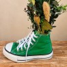 Green Sneaker Converse Preservada
