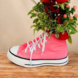 Pink Sneaker Converse
