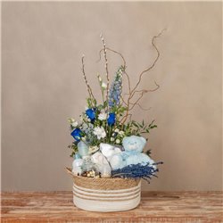 Cesta Baby Sky