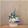 Cesta Baby Sky