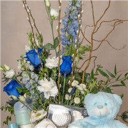 Cesta Baby Sky