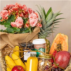 Cesta de Frutas Tropic
