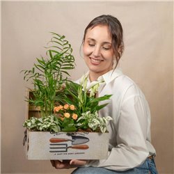 Cofre Soft Garden