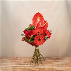 Ramo Red