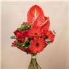 Ramo Red