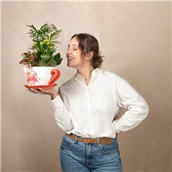 Composición Oasis Cup