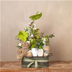 Cesta Baby Deluxe