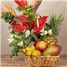 Tropic