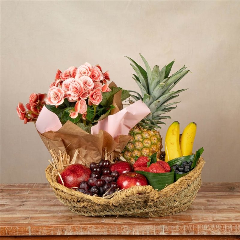 Begonia and Fruit