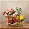 Begonia and Fruit