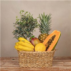Bonsay y Frutas