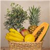Bonsay y Frutas
