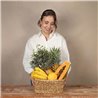 Bonsay y Frutas