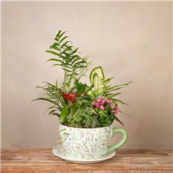Taza Mix