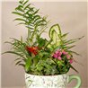 Taza Mix