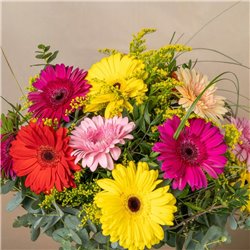 Ramo de Gerberas