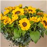 Ramo de Girasoles XXL