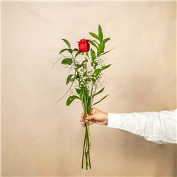 Rosa Individual