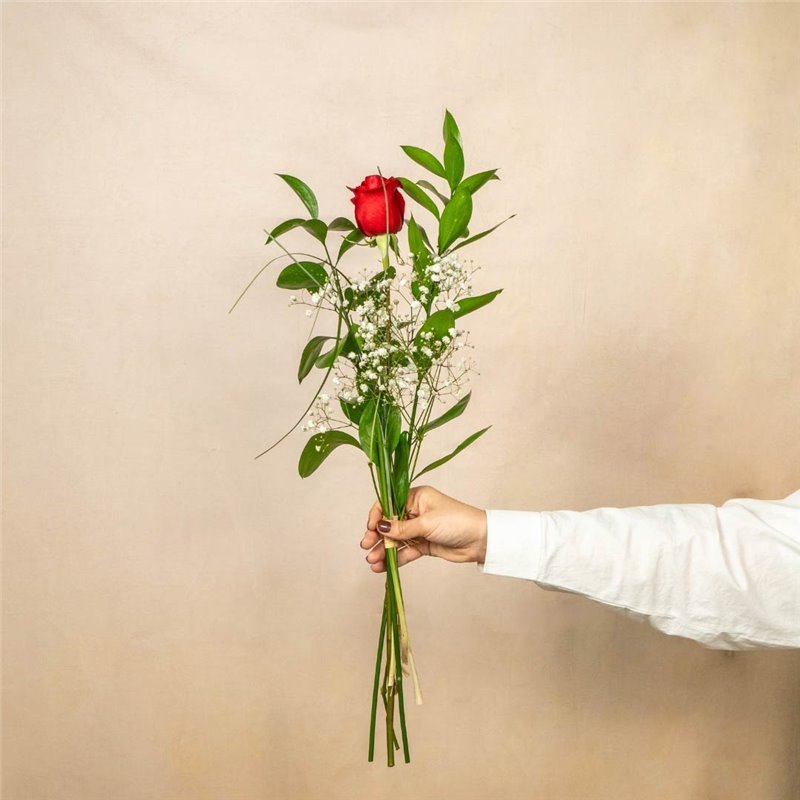 Rosa Individual