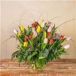 Tulipanes Multicolor