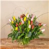 Tulipanes Multicolor
