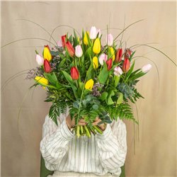 Tulipanes Multicolor