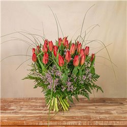 Tulipanes Rojos