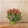 Tulipanes Rojos